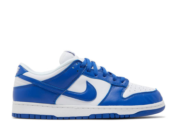 NIKE DUNK LOW RETRO SP 